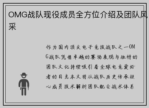 OMG战队现役成员全方位介绍及团队风采